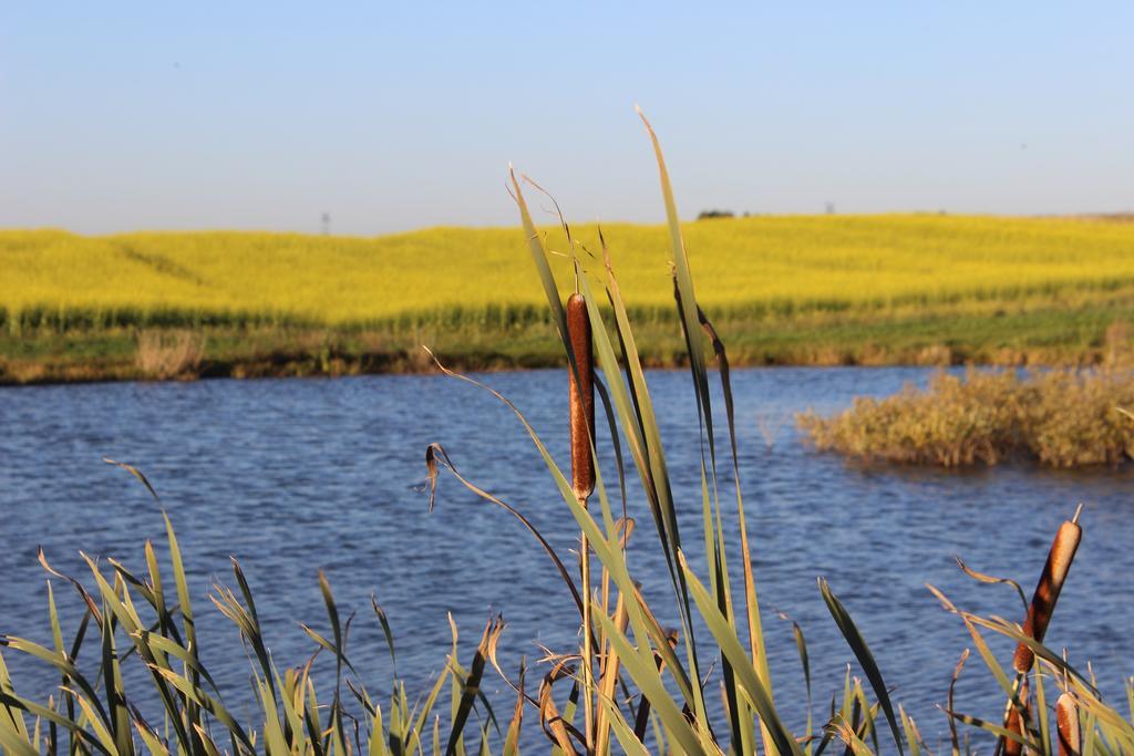Agro Nad Stawem Villa Żukowo Kültér fotó