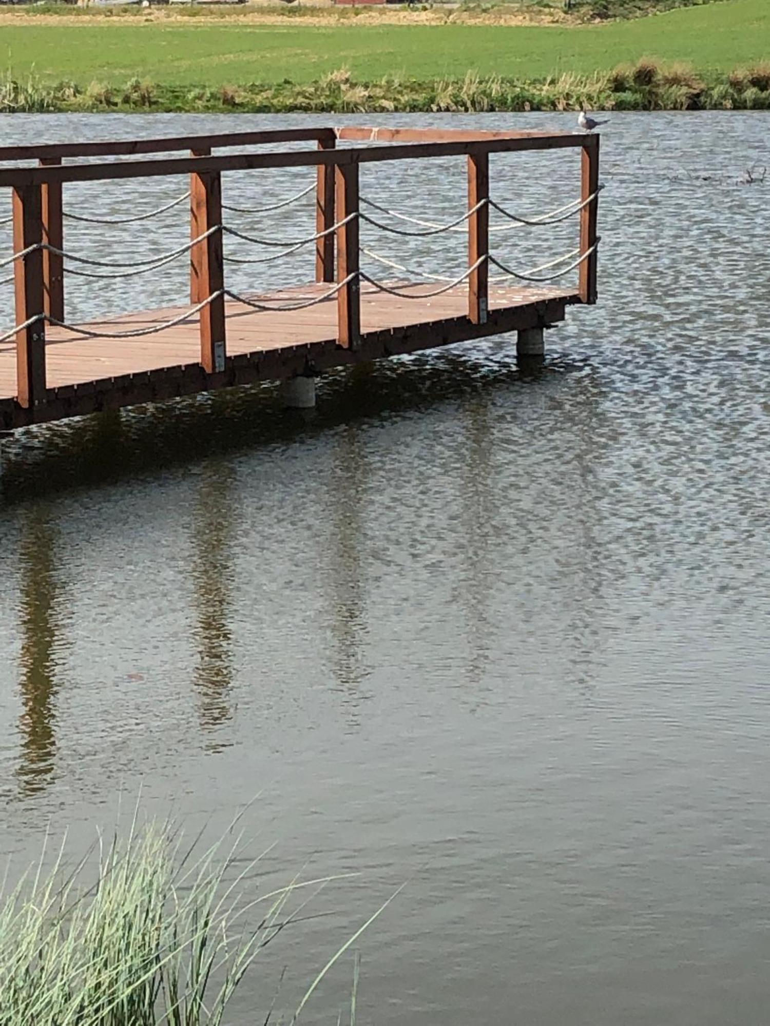 Agro Nad Stawem Villa Żukowo Kültér fotó